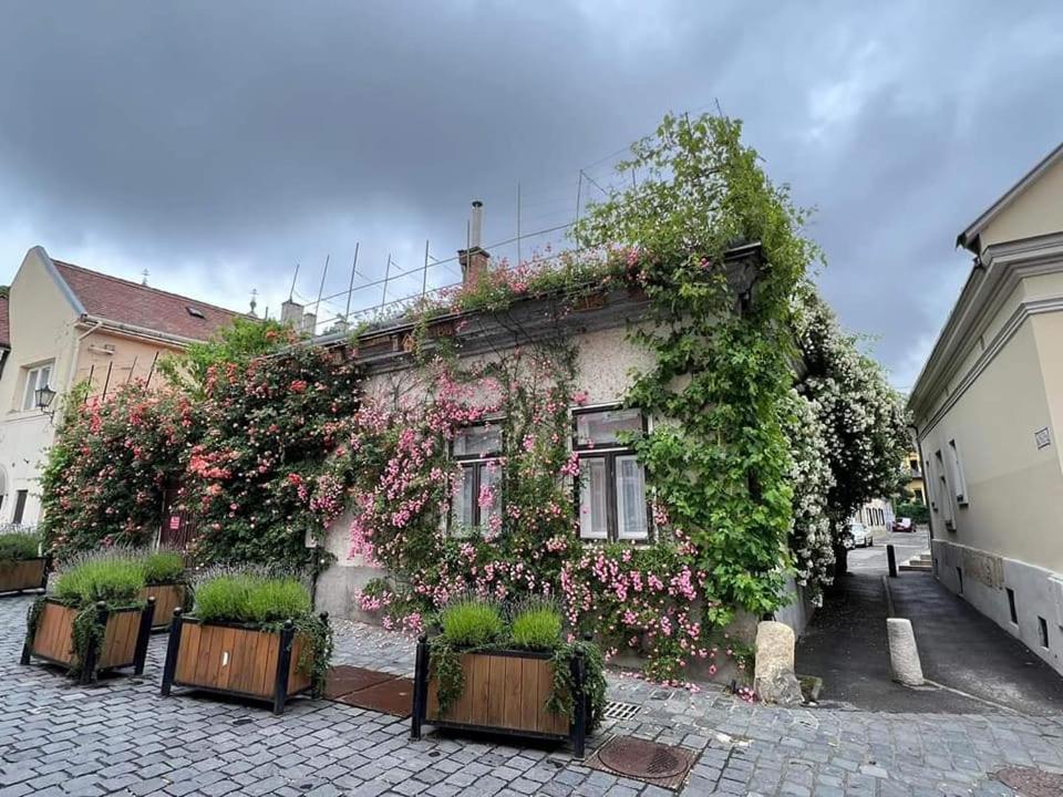 Downtown Romantic Székesfehérvár Esterno foto